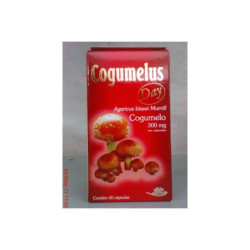 Agaricus blazeii (Cogumelo...