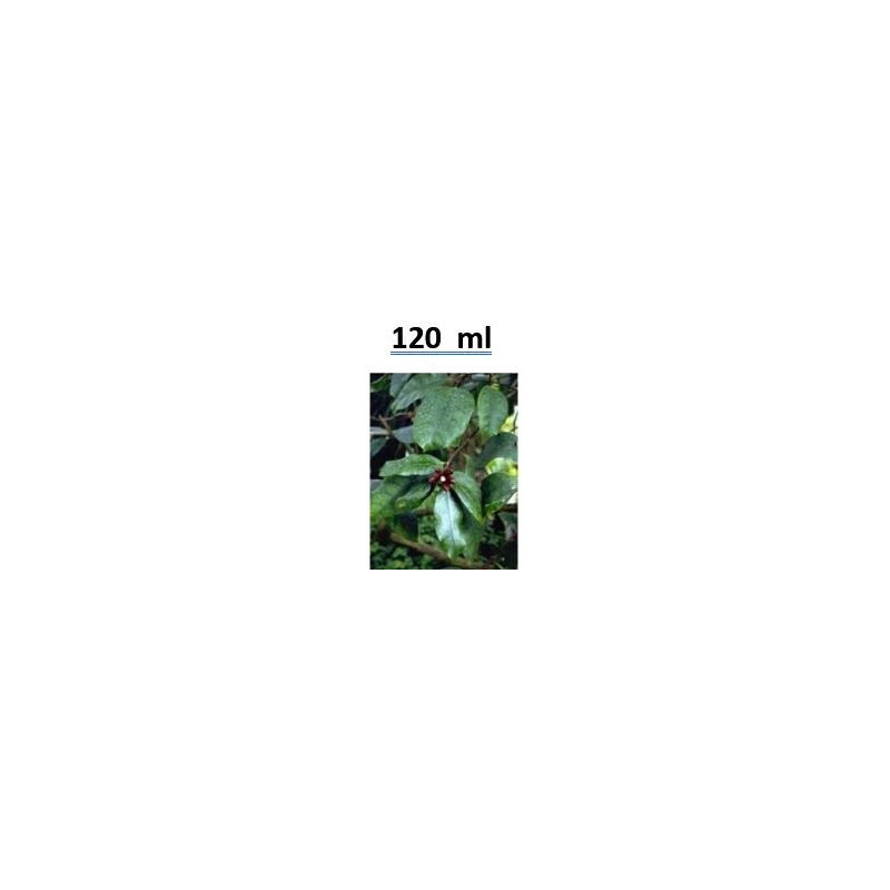 Strophanthin Urtinktur Natur pur ( Strophanthus gratus) 120ml