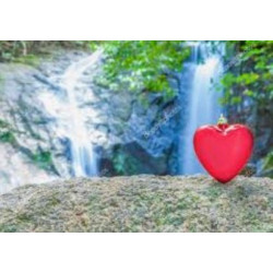 G-Strophanthin  Tinktur...