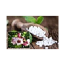 G-Strophanthin Pastillen 60...