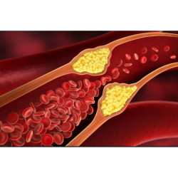 Magischer Sechsermix mit K2...